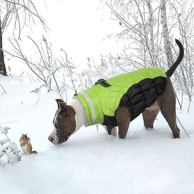 LeLePet Warm Fleece Dog Jacket, XX-Large, Lime, Adjustable, Reflective, Water-Resistant, Windproof, Turtle Neck, for Small Medium Large Dogs