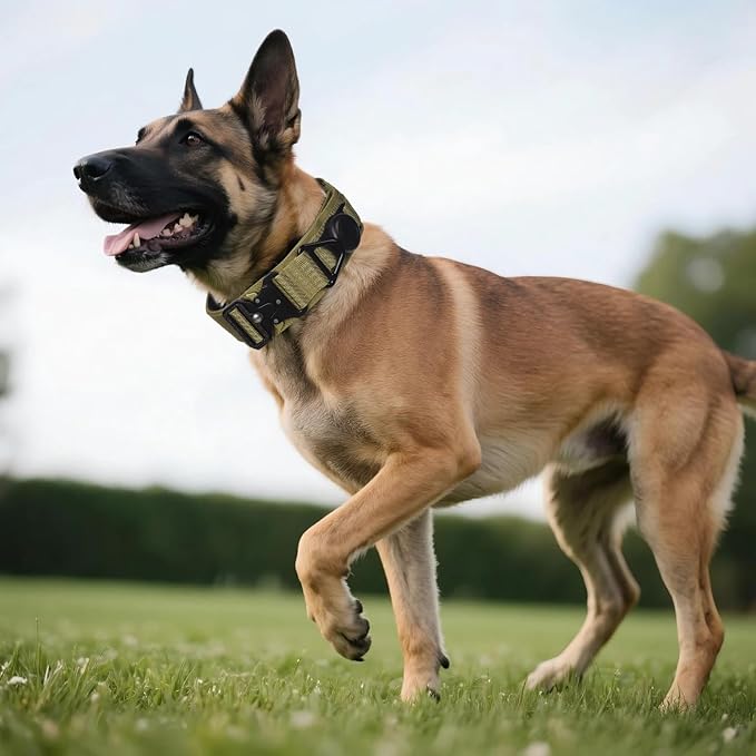 AirTag Dog Collar, 2" Wide Tactical Military Army Dog Collar with AirTag Holder & 3 Pet Patches, Soft Padded Reflective Waterproof Nylon Collar with Metal Buckle for Medium Dogs (Khaki, M)