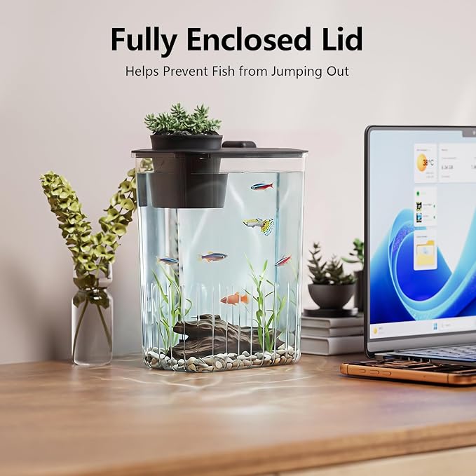 1 Gallon Betta Fish Tank Aquarium Starter Kit with Light and Lid(Black) | Premium Acrylic Aquarium with Light and Lid, Crystal Clear Starter Kit for Betta Fish, Shrimp, Snails and Small Fish