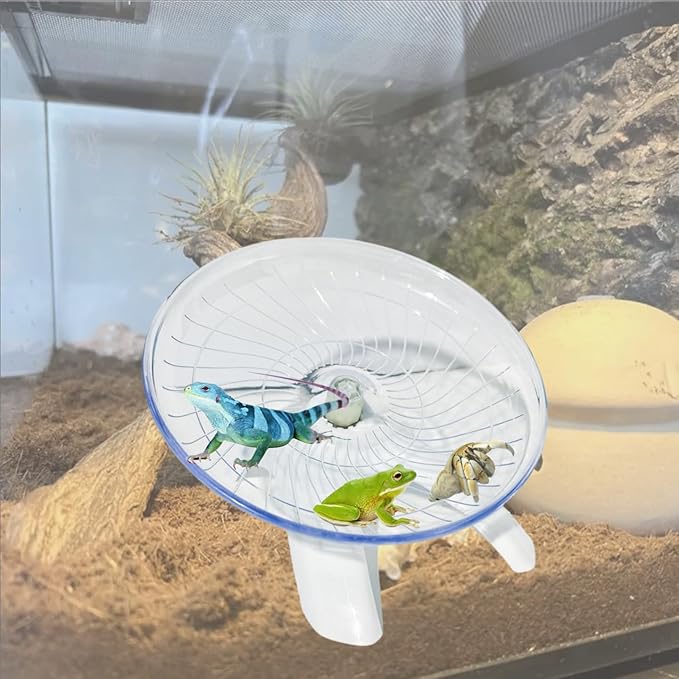 Funny Hermit Crab Running Wheel Climb Toy, Hamster Reptiles Running Flying Wheel Saucer, Cute Running Wheel for Guinea Pig Small Pet Animals Tree Frog Hamster Lizard Salamander Hermit Crab (White)