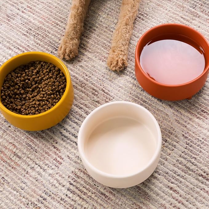 Waggo Uplift Ceramic Dog Bowl for Small Medium and Large Breeds - Heavyweight and Durable Pet Food and Water Dish Crock, Dishwasher Safe, Modern, Elevated Feeder (Olive, Medium)