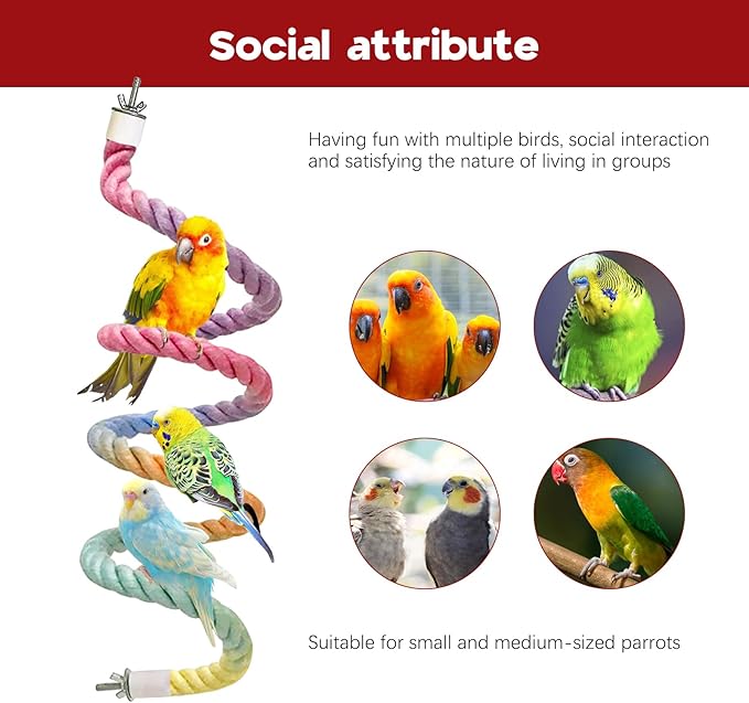 Bird Rope Swing Toy Parrot Climbing Perch Stand for Cockatiel Conure Cage Hanging Decor Parrot Natural Wood Stand Perch, Swing Natural Parrot Perch(Color)