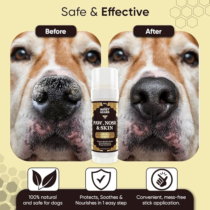 iHeartDogs Honey Guard Paw, Nose & Skin Dog Healing Balm - Manuka Honey, Tallow, Shea Butter & Mango Seed Oil - 2oz