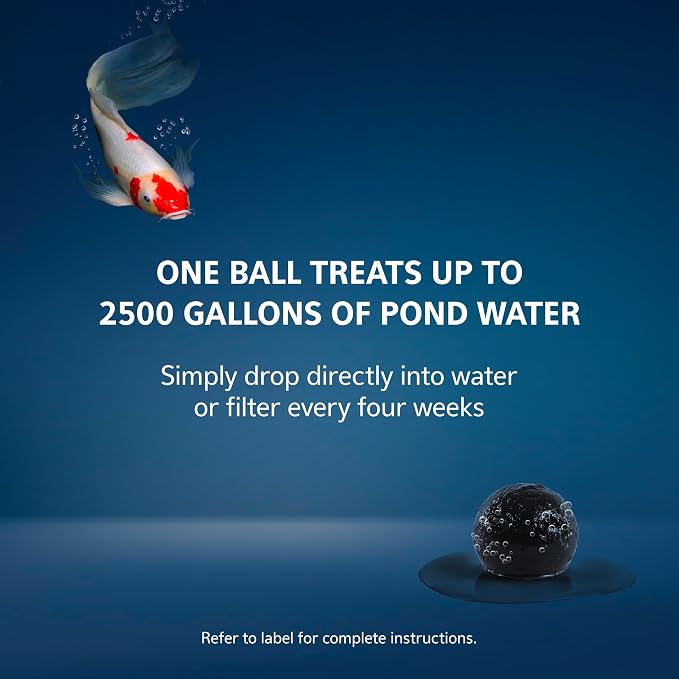 Aqueon Pure Pond Bomb, Reduces Organic Waste, Ammonia and Nitrates, Pond Maintenance and Biological Boost, Treats 2500 Gallons, 1-Pack