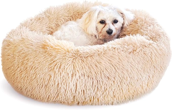Whiskers & Friends Cat Beds for Indoor Cats, Fluffy Calming Donut Cat Bed, Small Dog Bed Washable - Orthopedic Soft Plush Pet Beds Sized for Kitten to Large Cats & Puppy to Small Dogs - Khaki