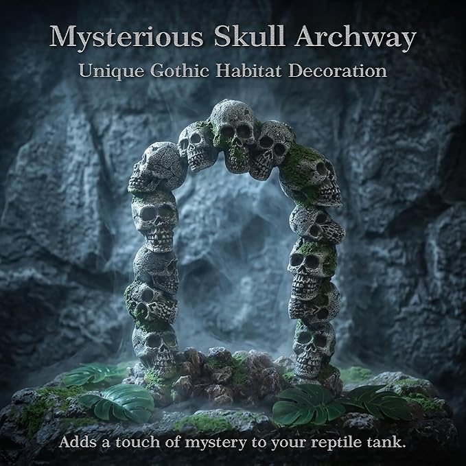 relaqcc Aquarium Skull Cave Rocks, Reptile Tank Accessories, Fish Tank Decorations for Amphibians, Betta Fish, Shrimp, Hermit Crab, Leopard Gecko