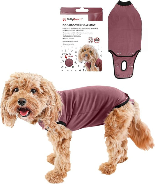 BellyGuard Dog Surgery Recovery Suit, Dog Onesie for Post-Op Care, Recovery Apparel for Female and Male, Surgical Body Cover for Canine Healing Support