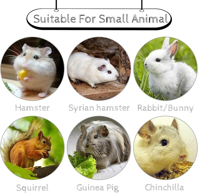 Hamiledyi 5 Pcs Chinchilla Lava Blocks Fruit Shaped Rabbit Chew Toys Bunny Lava Teeth Grinding Square Stone Small Animal Mineral Calcium Stone for Hamsters Rabbit Chinchillas Squirrel Mouse Rat Parrot