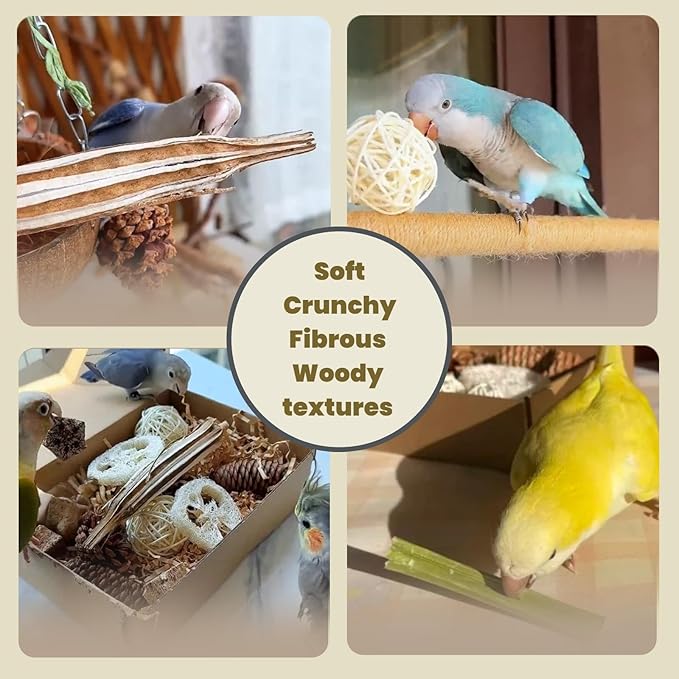 Wooden Foraging Box for Cage with 30PCS Natural Foraging & Chew Parrot Toy for Parakeets, Cockatiels, Conures & Lovebirds and Other Small to Medium Birds