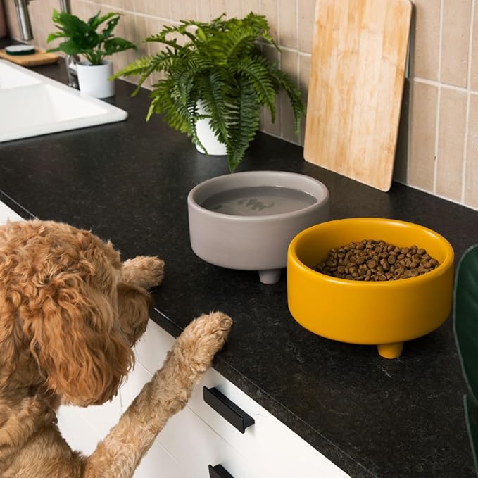 Waggo Uplift Ceramic Dog Bowl for Small Medium and Large Breeds - Heavyweight and Durable Pet Food and Water Dish Crock, Dishwasher Safe, Modern, Elevated Feeder (Speckle, Large)