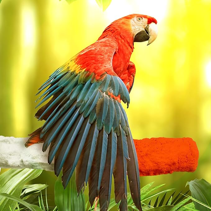 ULTECHNOVO Bird Perch Stand 6.88In Calcium Cuttlebone – High-Calcium Beak Grinding & Claw Trimming – for Parrot Cage for Cockatiel Conure African Grey