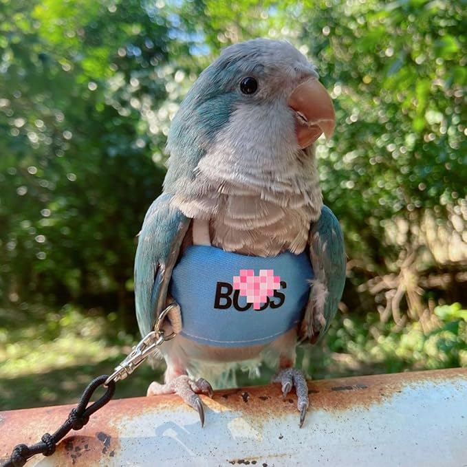 Bird Flight Harness Vest, Parrot Flight Suit with Leash, Bird Flying Clothes with Rope and Handle for Outdoor Activities (L)