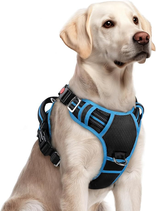 rabbitgoo Dog Harness for Large Dogs, No Pull Pet Vest with 3 Buckles, Adjustable Soft Padded Pet Harness with Easy Control Handle and Reflective Strips, Black & Sky Blue, L