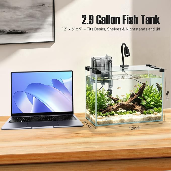 2.9 Gallon Small Glass Fish Tank Kit | Hang on Back Aquarium Filter, 3-Color LED Light, Glass Betta Fish Tank Kit with Removable Clear Lid and Non-Slip Mat