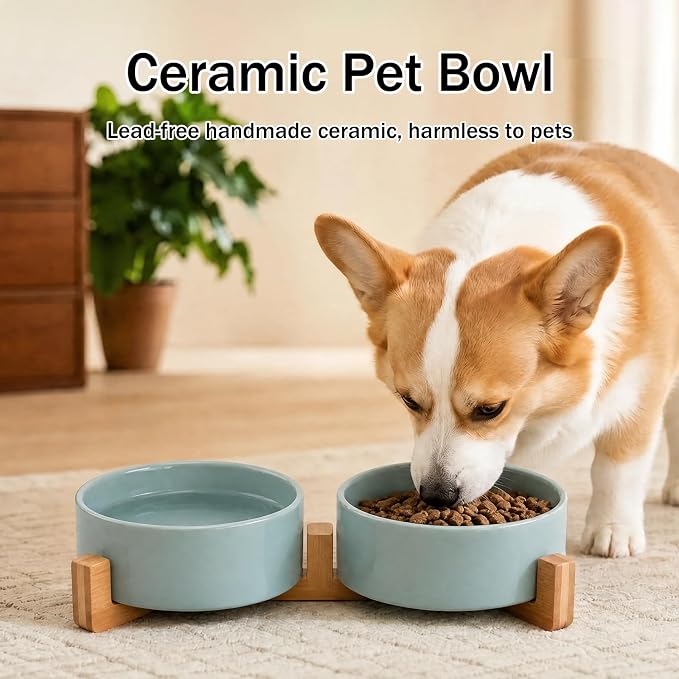 MateeyLife Ceramic Dog and Cat Bowls with Stand, 2-Pack Food and Water Bowl Set - Non-Slip Pet Bowls for Cats,Puppies and Small Dogs, 13.5OZ（Green）