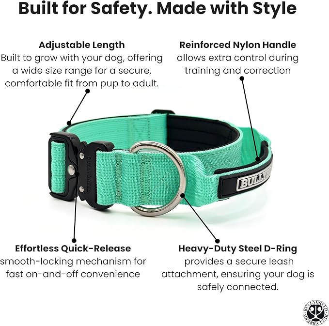 Heavy Duty Dog Collar, Tactical Dog Collar, Dog Collars for Medium Dogs, Waterproof Dog Collar, Dog Training Collar, Quick-Release Metal Buckle, Adjustable Sizes – BULLYBREED (Aquamarine, Medium)