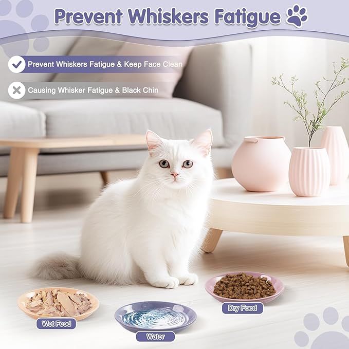 6 Pack Cat Food Bowl, Ceramic Cat Bowls, Anti Whisker Fatigue Cats Bowl Set,5.5 Inches Shallow Wide Kitten Plates for Food and Water (CaiSe-A)