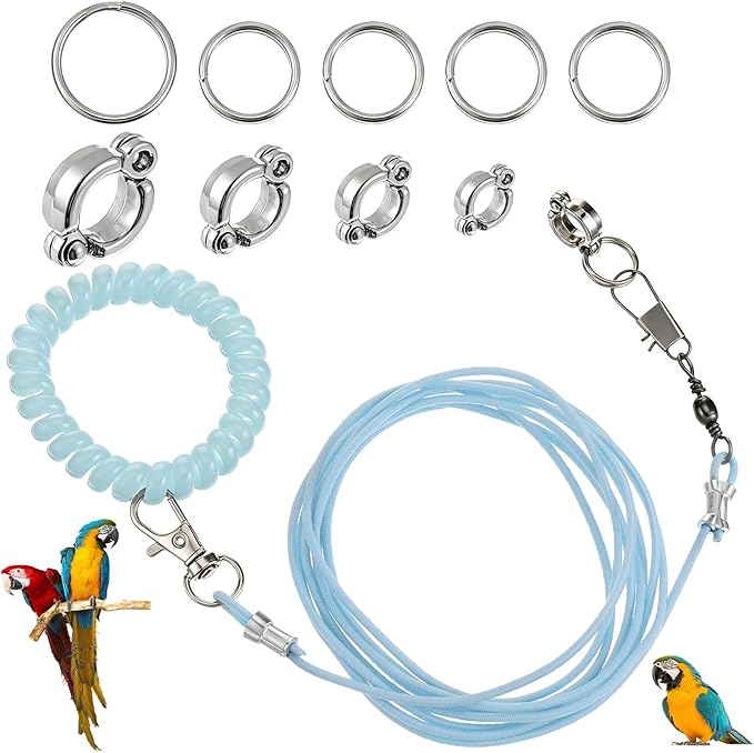 Bird Leash with 4 Different Size Foot Ring, Parrot Flying Rope Elastic Bird Harness Flying Leash Outdoor Training Traction Rope for Conure Cockatiel Parakeet Macaw Budgerigar
