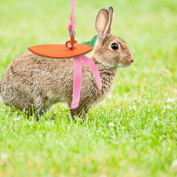 Small Pet Harness Leash Set 5pcs with Adjustable Chest Strap, Soft Fabric Squirrel Rabbit Guinea Pig Walking Rope for Outdoor Use Random Color