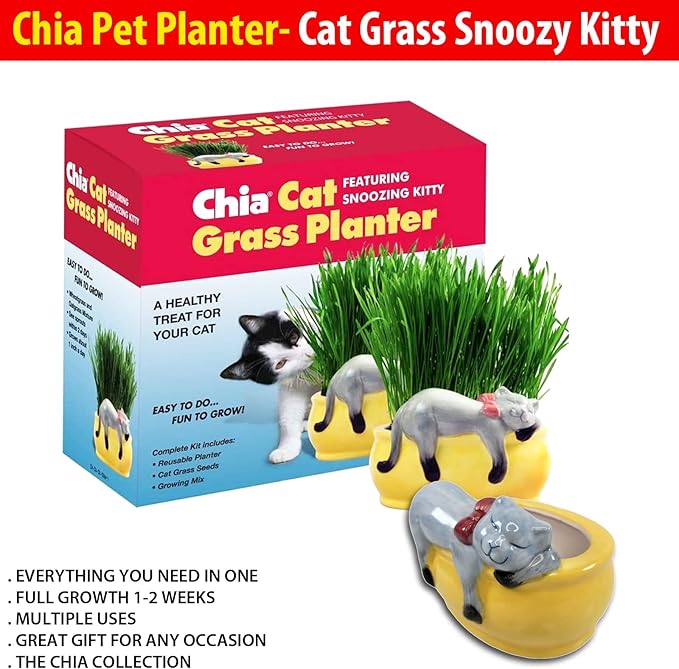 Chia Pet Kitty Cat Grass, Decorative Pottery Planter, Easy to Do and Fun to Grow, Novelty Gift, Perfect for Any Occasion