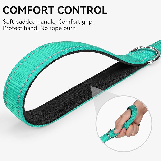 Joytale Dog Leash, 6 FT Double-Sided Reflective, Padded Handle Nylon Heavy Duty Leashes for Small Dogs Walking, Teal