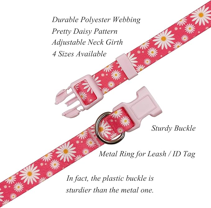 Dog Collar Leash Set, Floral Pattern, Polyester Material, Adjustable Collar and 5ft Matching Leash, for Large Dogs.(L, Daisy)
