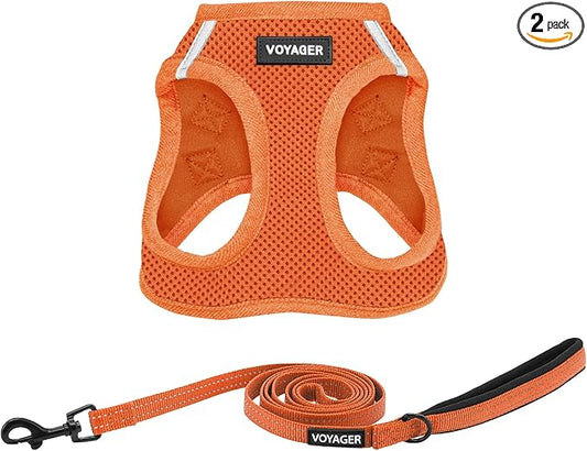 Best Pet Supplies Voyager Step-in Air All Weather Mesh Harness and Reflective Dog 5ft Leash Combo with Neoprene Handle, for Small, Medium and Large Breed Puppies - Orange, Medium