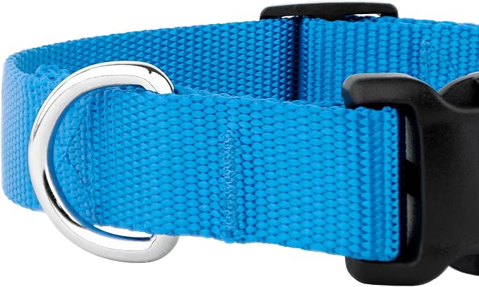Country Brook Petz - Everyday Nylon Dog Collar and Leash - 10+ Cool Colors (3/4 Inch, Medium, Ice Blue)