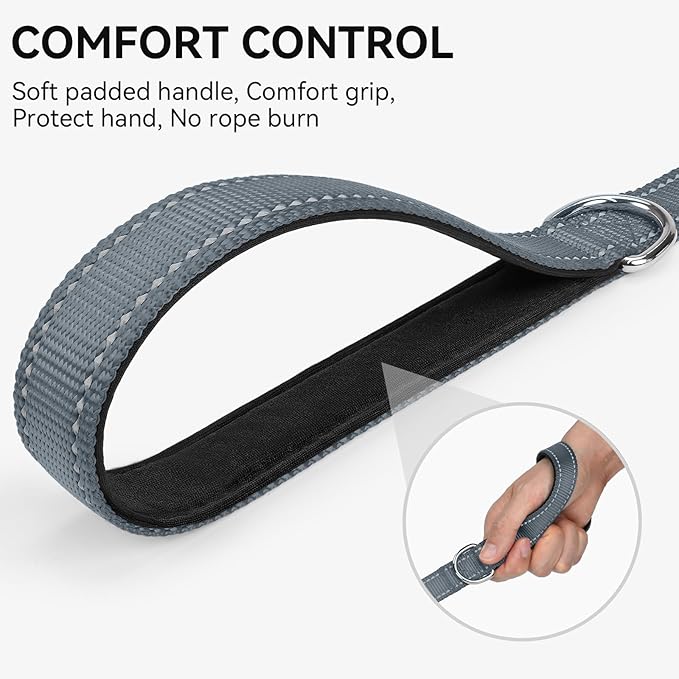 Joytale Dog Leash, 6 FT Double-Sided Reflective, Padded Handle Nylon Heavy Duty Leashes for Small Dogs Walking, Grey
