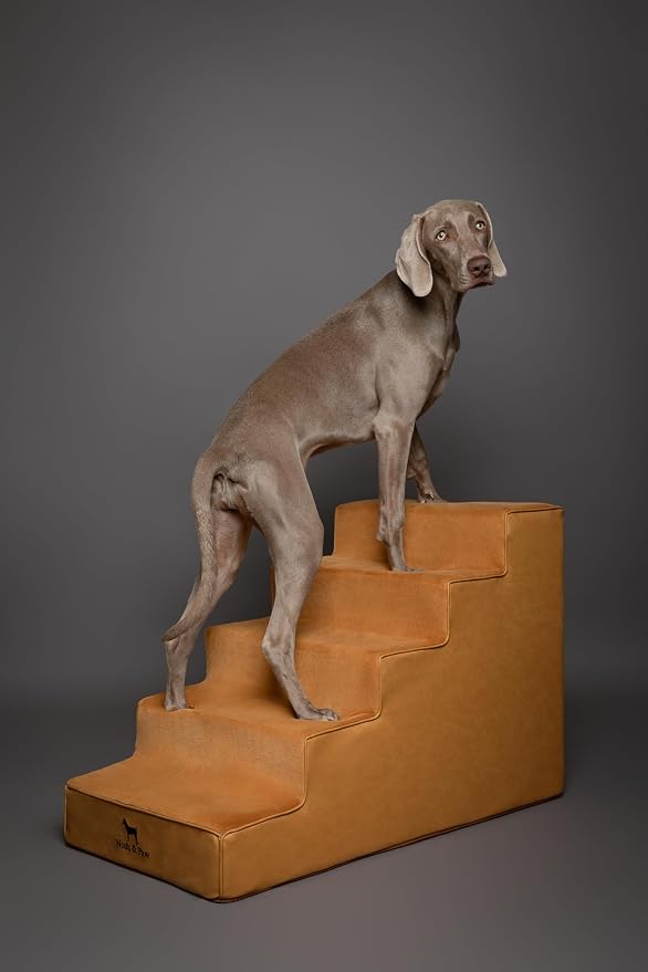 Noah & Paw Dog Stairs, Dog Ramp for Bed (20" Extra Wide) Pet Stairs for High Bed, Design to Fit Small and Large Breeds, Durable 5 Pet Steps for Couch (35 Foam Density) Leather Collection