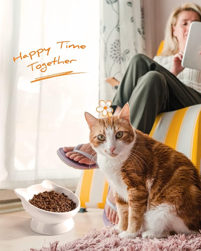 Raised Cat Food Bowl Ceramic 15° Tilted Cat Food Bowls Protect Cat's Spine Anti Vomiting Backflow Prevention for Adult, Kitten, and Small Dogs, White