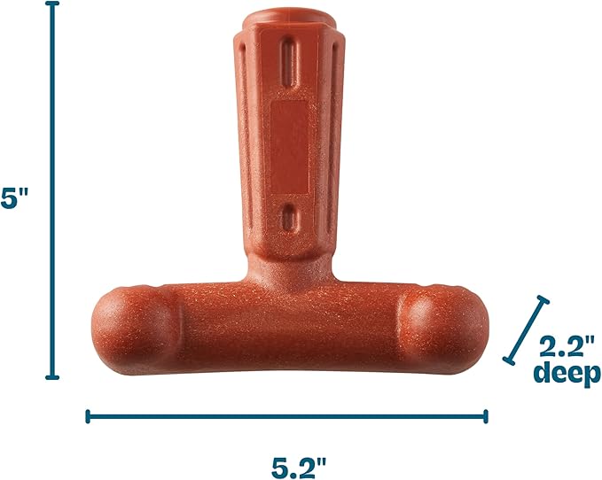 Outward Hound Dogwood Hold & Chew Durable Dog Chew Toy, Beef Scent, Large
