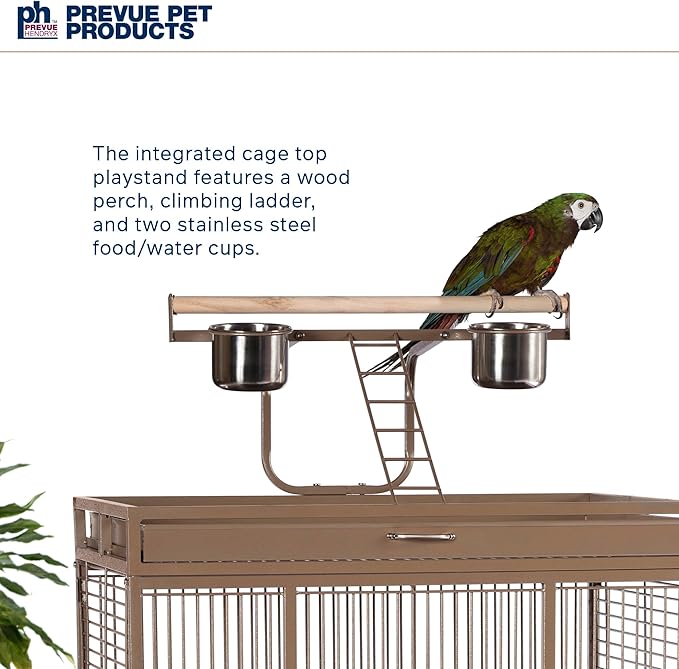 Prevue Hendryx Pet Products Wrought Iron Select Bird Cage 3153COCO, Coco Brown, 30-Inch by 22-Inch by 63-Inch