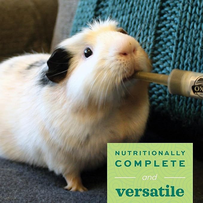 Oxbow Critical Care Herbivore Assist Feeding Formula for Rabbits & Guinea Pigs, High Fiber Timothy Hay Recovery Food, Natural Anise Flavor, Vet Recommended Emergency Nutrition, 454g 2 Pack