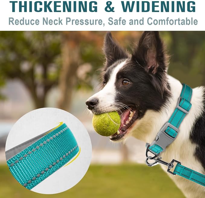 Dog Collar for Medium Small Large Dogs Reflective with Leash,Collar and Leash for Dogs,Soft Neoprene Padded 2 Pack(Ocean Blue,L)