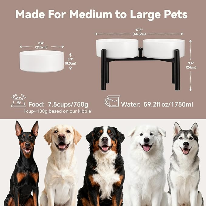 Dog Bowls Elevated - Ceramic Raised Dog Bowl with Non Slip Steel Stainless Stand - No Spill and Heated Feeding Station - Food and Water Dish Set for Medium to Large Pet - Each Holds 7.5 Cups – White