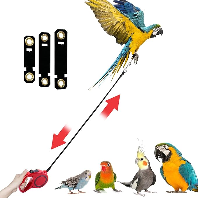 Retractable Bird Leash, 9.8ft Anti-Bite Bird Harness, Adjustable Parrot Harness with 3 Sizes Foot Rings, Outdoor Flying Harness for Macaws, Cockatiels, Macaws, Conures, Parrot, Parakeet