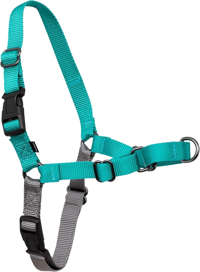 PetSafe Easy Walk Harness for Dogs - Pull-Free Walks - Patented Martingale Loop Design - Front Chest Leash Attachment - Comfort Straps - Breathable Harness Design - Medium, Teal/Gray