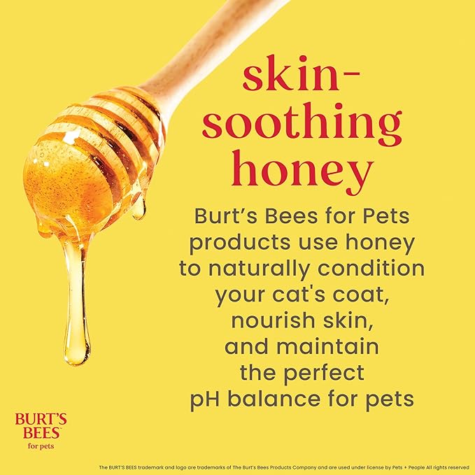 Burt's Bees for Pets Tearless Kitten Shampoo with Buttermilk and Honey, 99% Natural Origin Gentle Cat Shampoo for Sensitive and Itchy Skin, pH Balanced and Fragrance-Free, 10 Fl Oz - 6 Pack