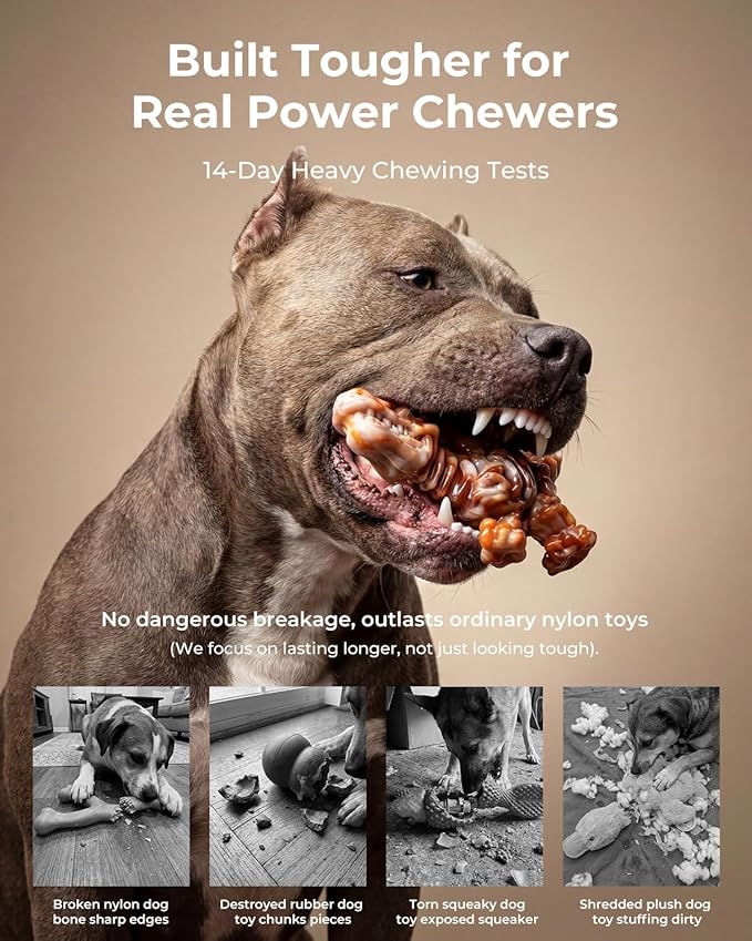 2 Pack Indestructible Dog Chew Toys for Aggressive Chewers: Ultra-Dense Nylon, Bacon Flavor Chew Bones, Heavy Duty Tough Toys for Large Dogs 20-90 lbs, Long Lasting & Keep Them Busy (XL)