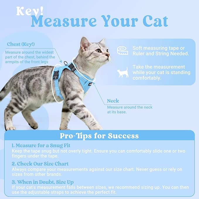 rabbitgoo Cat Harness and Leash, Escape Proof Vest with 3 Adjustable Buckles, Soft Comfortable Kitten Harness, Easy to Wear, Reflective for Safe Outdoor Walking, Small, Sky Blue