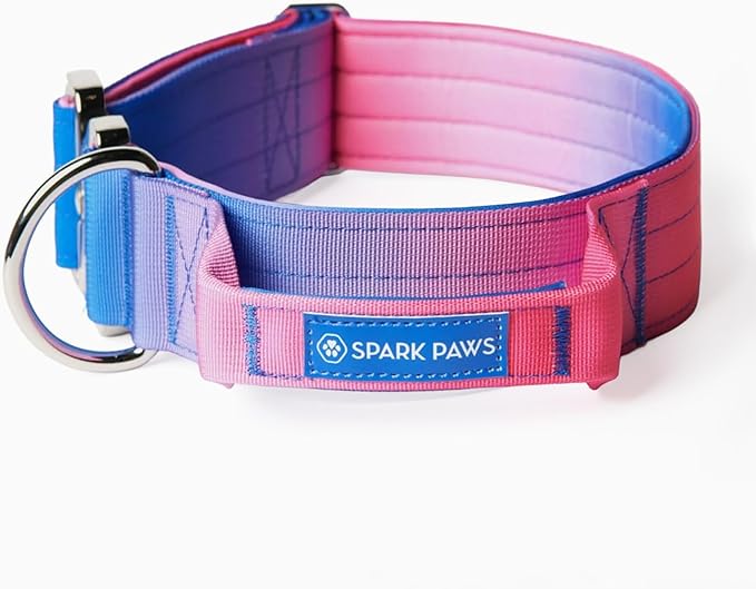 Spark Paws Tactical Dog Collar with Handle - Premium Quality Collar, Robust and Durable Design for Large, Strong Breeds - Pitbulls, Labradors, GSD - Snow Cone - L -1.5"
