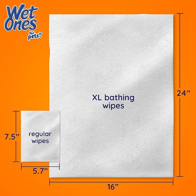 Wet Ones for Pets Multipurpose Dog Wipes with Aloe Vera, Tropical Splash Scent - Extra Large Pet Bathing Wipes with Wet Lock Seal for Paws and All-Over Use, 10 Count