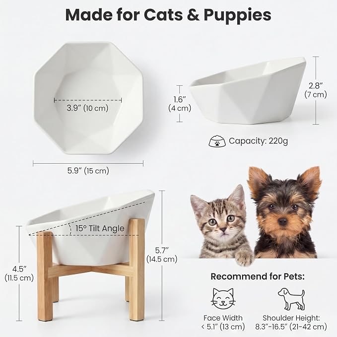 Ceramic Tilted Raised Cat Bowl - Elevated Food Bowl for Indoor Cats & Small Dogs - Shallow Wide Whisker-Friendly Design - Pet Dish Suitable for Feeding Dry, Wet, Treats & Canned Food - White