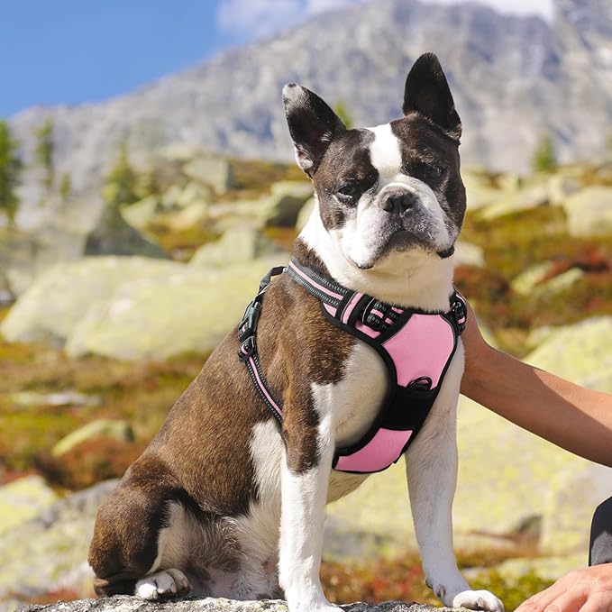 Eagloo Dog Harness Medium Sized Dog, No Pull Service Vest with Reflective Strips and Control Handle, Adjustable and Comfortable for Walking, No Choke Pet Harness with 2 Metal Rings, Pink, M