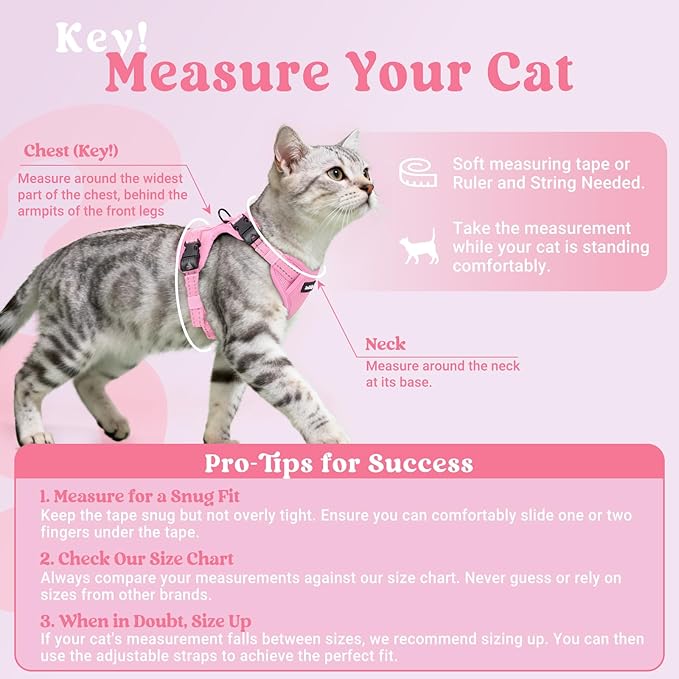 rabbitgoo Cat Harness and Leash, Escape Proof Vest with 3 Adjustable Buckles, Soft Comfortable Kitten Harness, Easy to Wear, Reflective for Safe Outdoor Walking, Medium, Pink