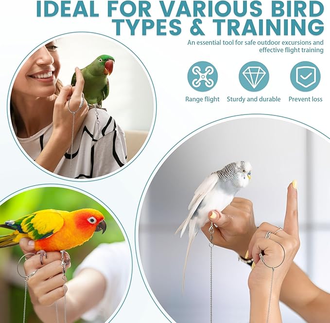 LELE LIFE 2 Pack 39in Bird Leash with 5 Sizes Ankle Rings, Stainless Steel Anti-Bite Parrot Bird Harness Flying Toy Training Chain Leg Rope Outdoor Parrot Alloy Foot Ring