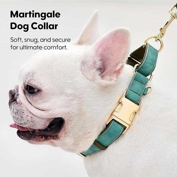 WHIPPY Vegan Leather Dog Collar No Slip Martingale Dog Collar with Quick Release Metal Buckle for Large Medium Small Dogs,Green