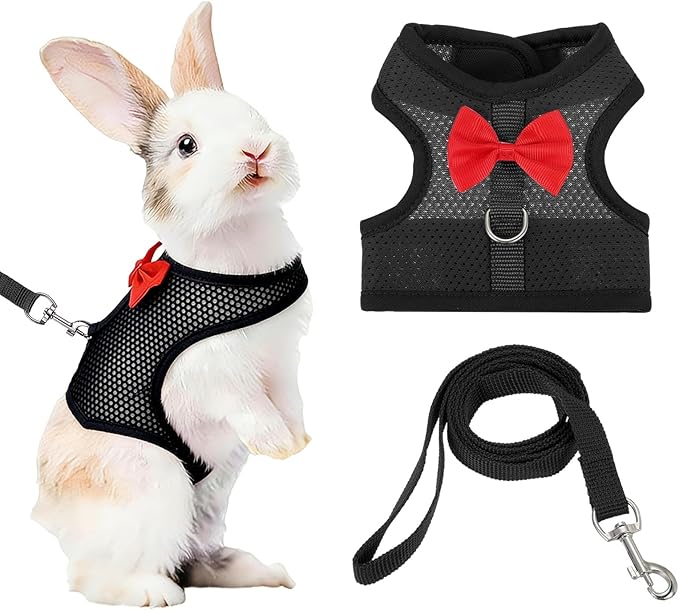 Rabbit Harness and Leash, Small Pet Cute Vest Harness Leash Soft Adjustable Buckle Breathable Mesh (M, Black) for Bunny Kitten Small Pig Puppies Camping Hiking Training