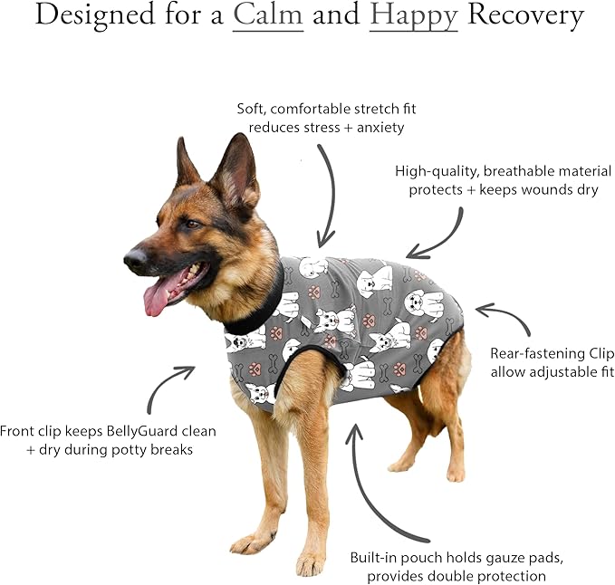 BellyGuard Dog Surgery Recovery Suit, Dog Onesie for Post-Op Care, Recovery Apparel for Female and Male, Surgical Body Cover for Canine Healing Support